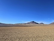 253  Salvador Dali Desert.jpg